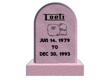 Toeti at Rainbow Bridge