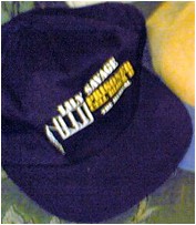 Prisoner cap