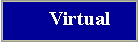 Virtual Field