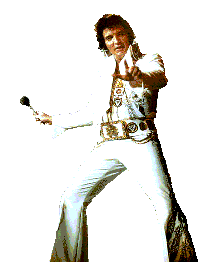 Elvis Anniversary Special