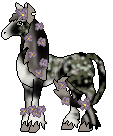 Melantha (Tribal x Avania)