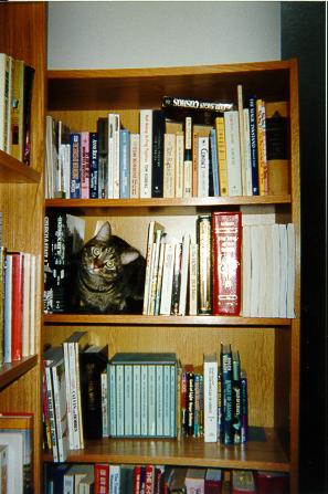 [Lily on the book shelf]