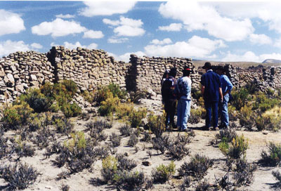 pumiriwalls