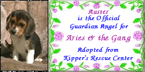guardian angel