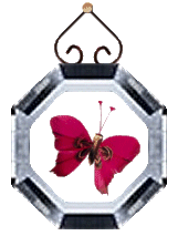 Please, if you care enough to give
your heart to someone in need,
join Angels That Care! 
Simply click and Butterfly
will take you there!
