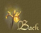 Let's go back to ~ Touch of Silk ~...ok?