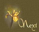 Well my friends, that is all i have to offer at this time...but perhaps you'll stop in at the gift boutique or step into the coffee shop and get to meet the author ~ and be sure to check back often as i add new poetry from time to time. and ~THANK YOU ~ for spending some time with me.  
* God Bless *