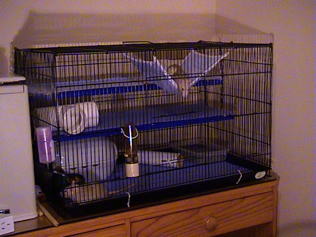 Batchelor Pad