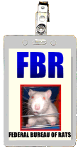 The Federal Bureau of Rats