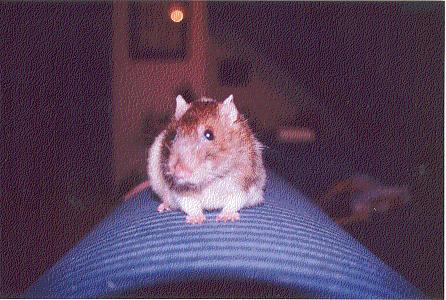 "Hey baby, how YOU doin'?"