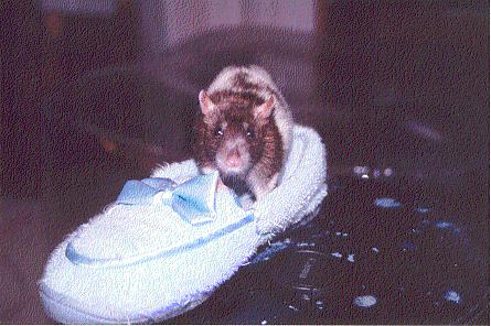 "Pooh Mum, what's that funny smell?"