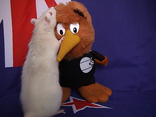 Timmy gets friendly with our national symbol!