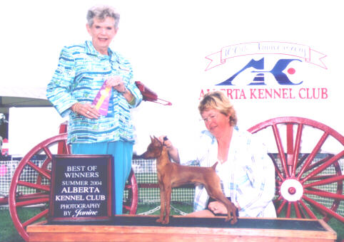 BPIG Ch. LilDevils Will Power winning BOW at AKC - Canada's largest outdoor show