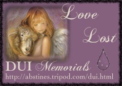 DUI Banner