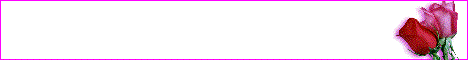 Jamie's Banner