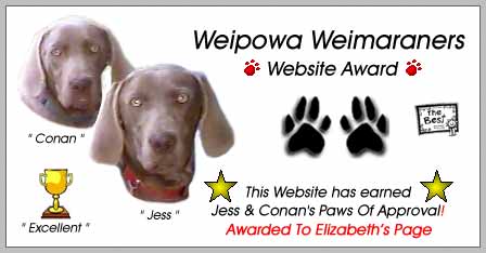 weimaraners award