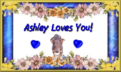 Ashley's Card