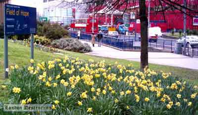 Elephant and Castle - Field of Hope