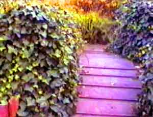London Roof Gardens