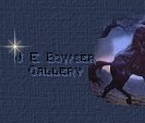 Jonathon/E.Bowser/artist