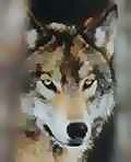 The Wolf Protection Ring