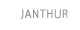 janthur