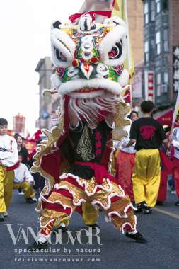 Lion Dancer in Chinatown Parade
