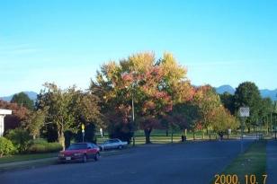 In front of the school 