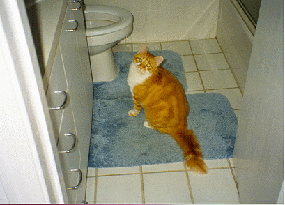 /user/bathroom.gif