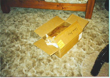 /user/box.gif