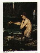 Waterhouse's mermaid