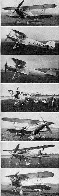 LEFT FURY PHOTOS