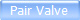 Pair Valve