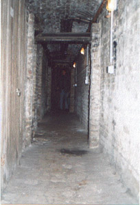 A cellar air raid shelter