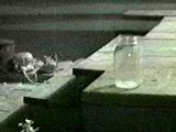 Waits at the window, 
wearing a face that 
she keeps in a jar 
by the door.
