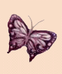 pansybtterflycutout02.gif (5166 bytes)