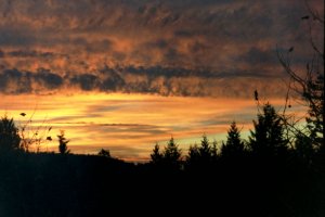 sunset from my porch