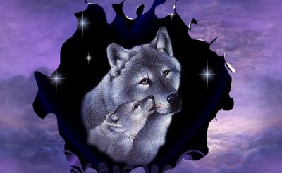 wolf