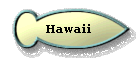  Hawaii 