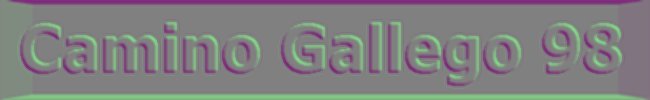 Camino Gallego 98