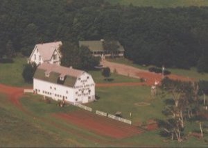 where's the horse gone?