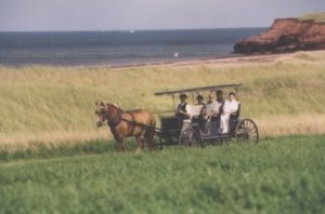 phew, that's a relief