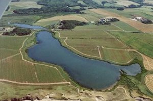 the horse must be in there somewhere