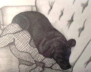 napping on couch-pencil/charcoal 