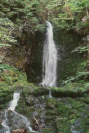 dickson falls