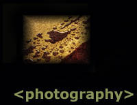 The Photography of Todd Bingham