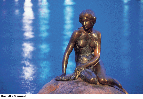 Beauty Little Mermaid