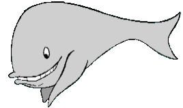 Smiling Whale