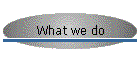 What we do