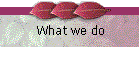 What we do
